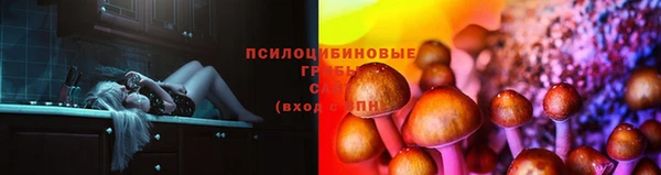 прущие крисы Баксан